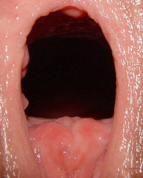 Extreme Close-Up of Wet Pussy - Explicit Hardcore Porn Shot