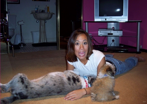 Roughly Fucked Tanned Brunette - Hardcore Interracial Porn