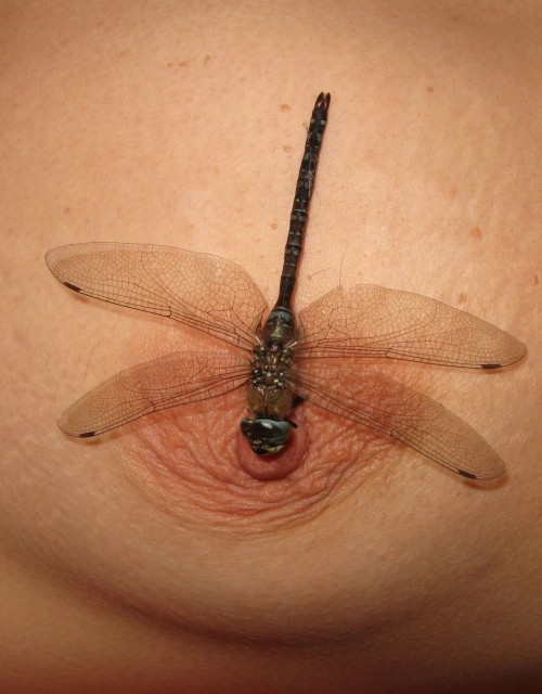 My Ex-Lover: Explicit Russian Mistress Photos