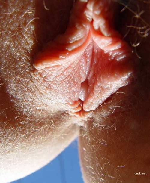 Close-Up Shot of Student's Pussy: Explicit and Bold View!